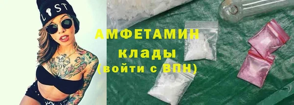 стаф Аркадак