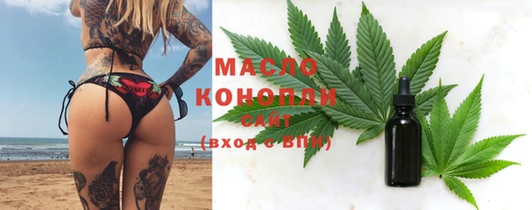 стаф Аркадак