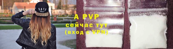 стаф Аркадак