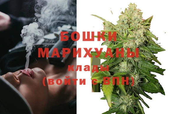 стаф Аркадак