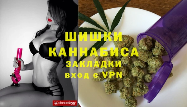 стаф Аркадак