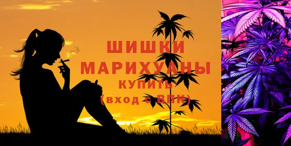 стаф Аркадак