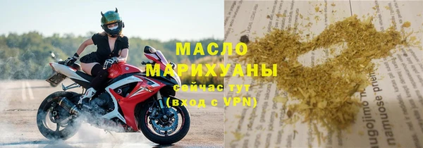 стаф Аркадак